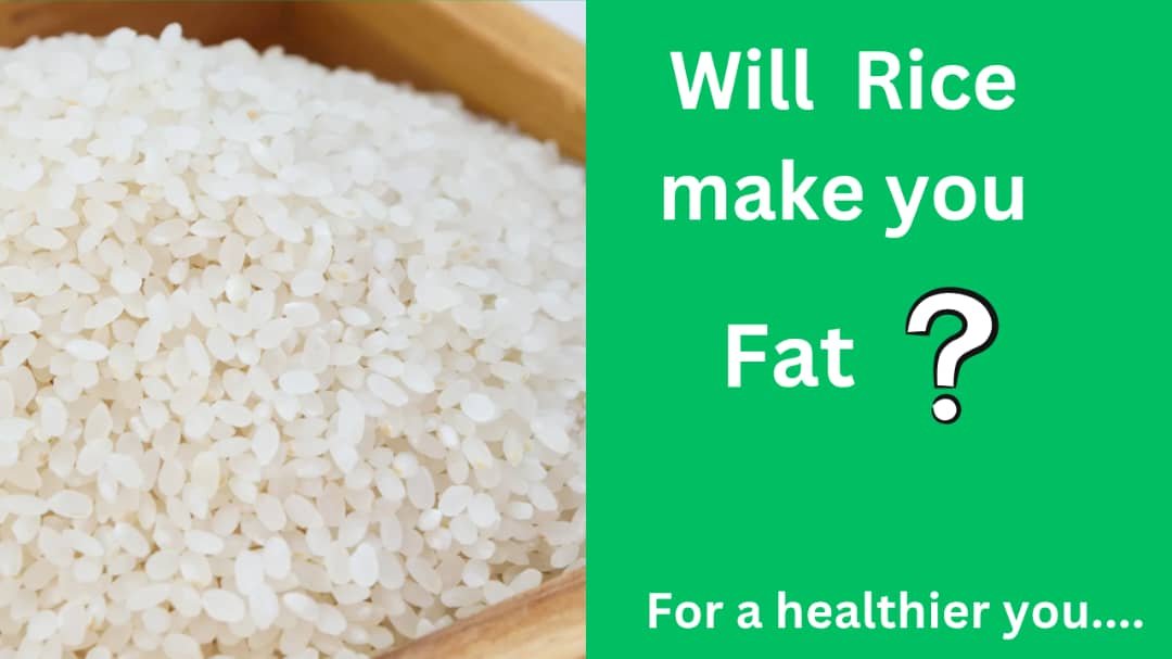 Why White Rice Won’t Make You Fat